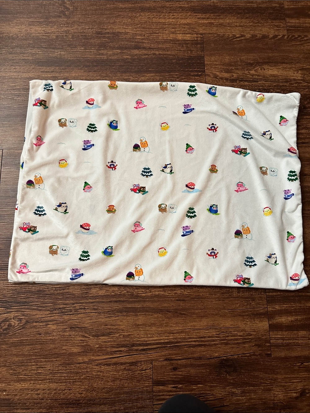 Squishmallow Squishpillow Velour Soft Standard Pillow Case like new Winter Scene